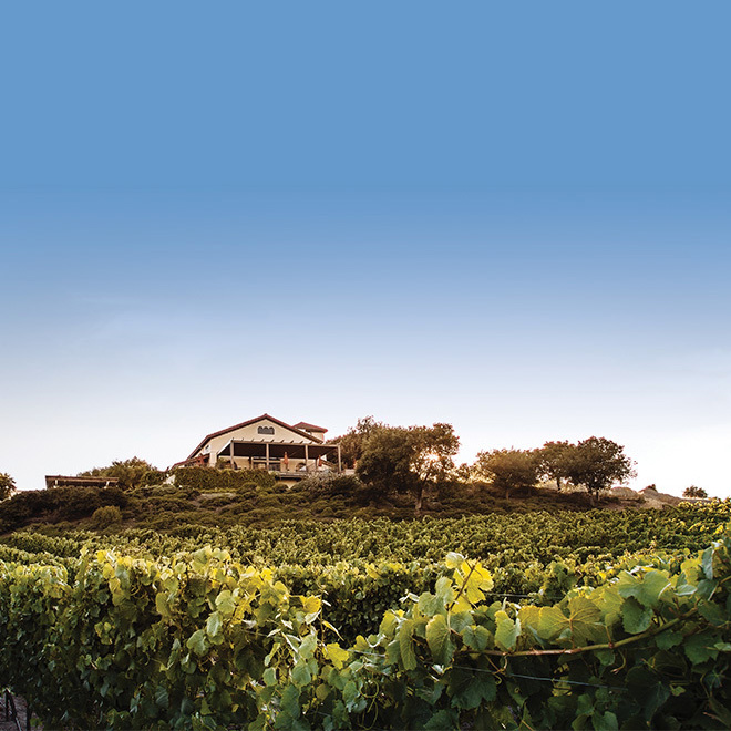 The-First-Sparkling-square