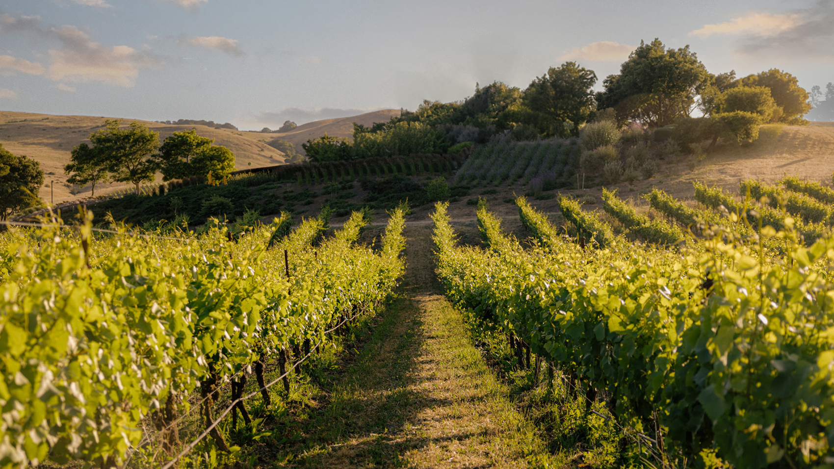 masterclass-blog-post-hero