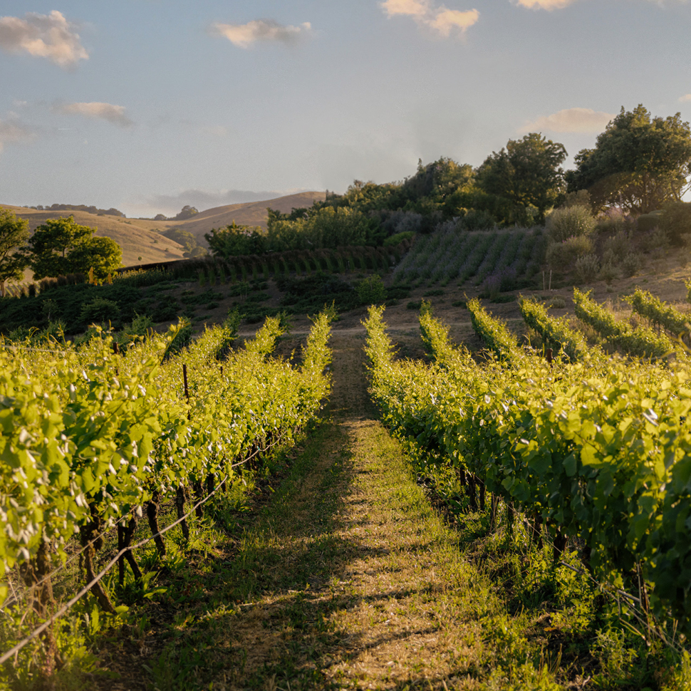 masterclass-blog-post-hero