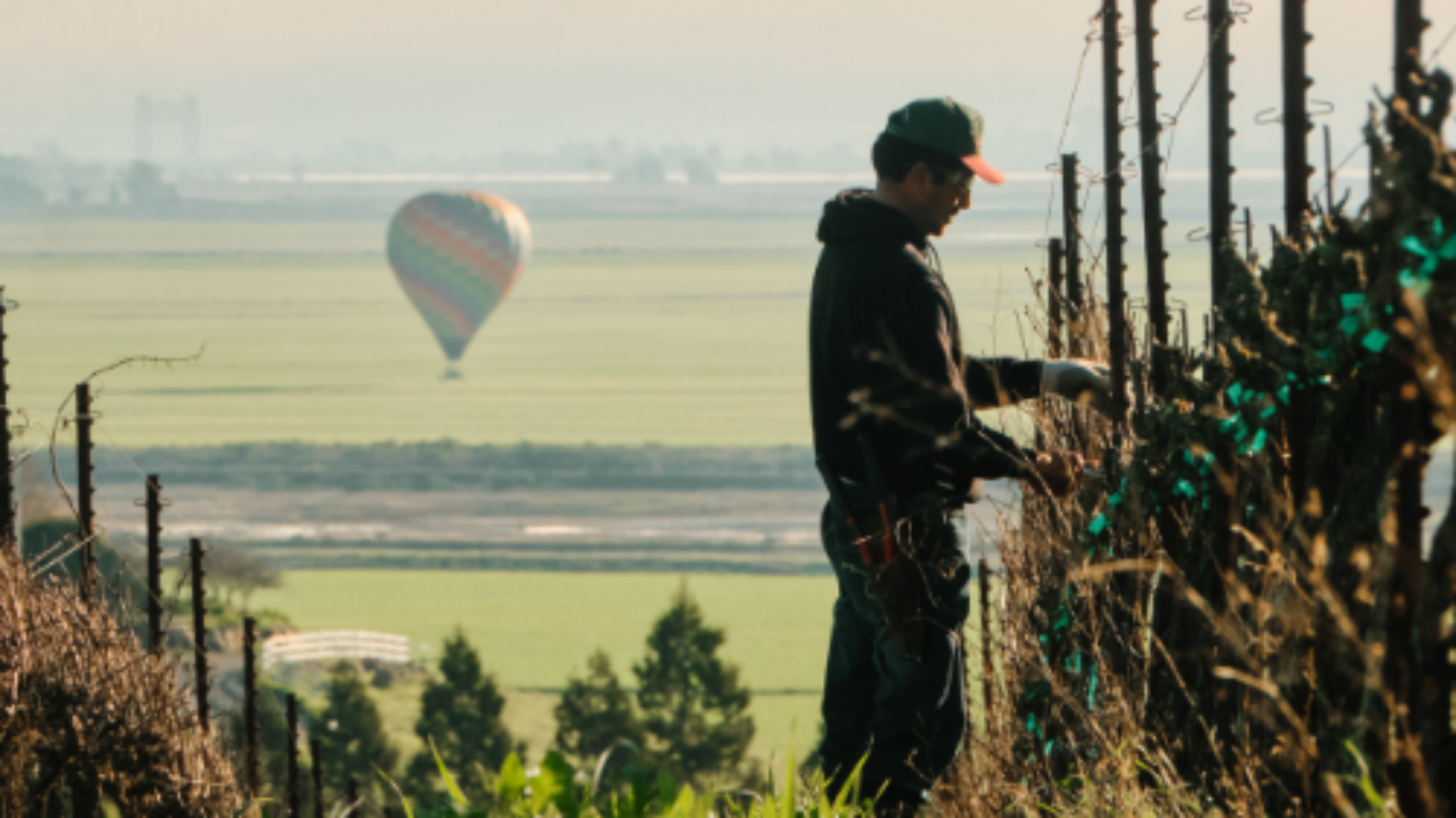 Untitled design - 2026-04-17T121011.123