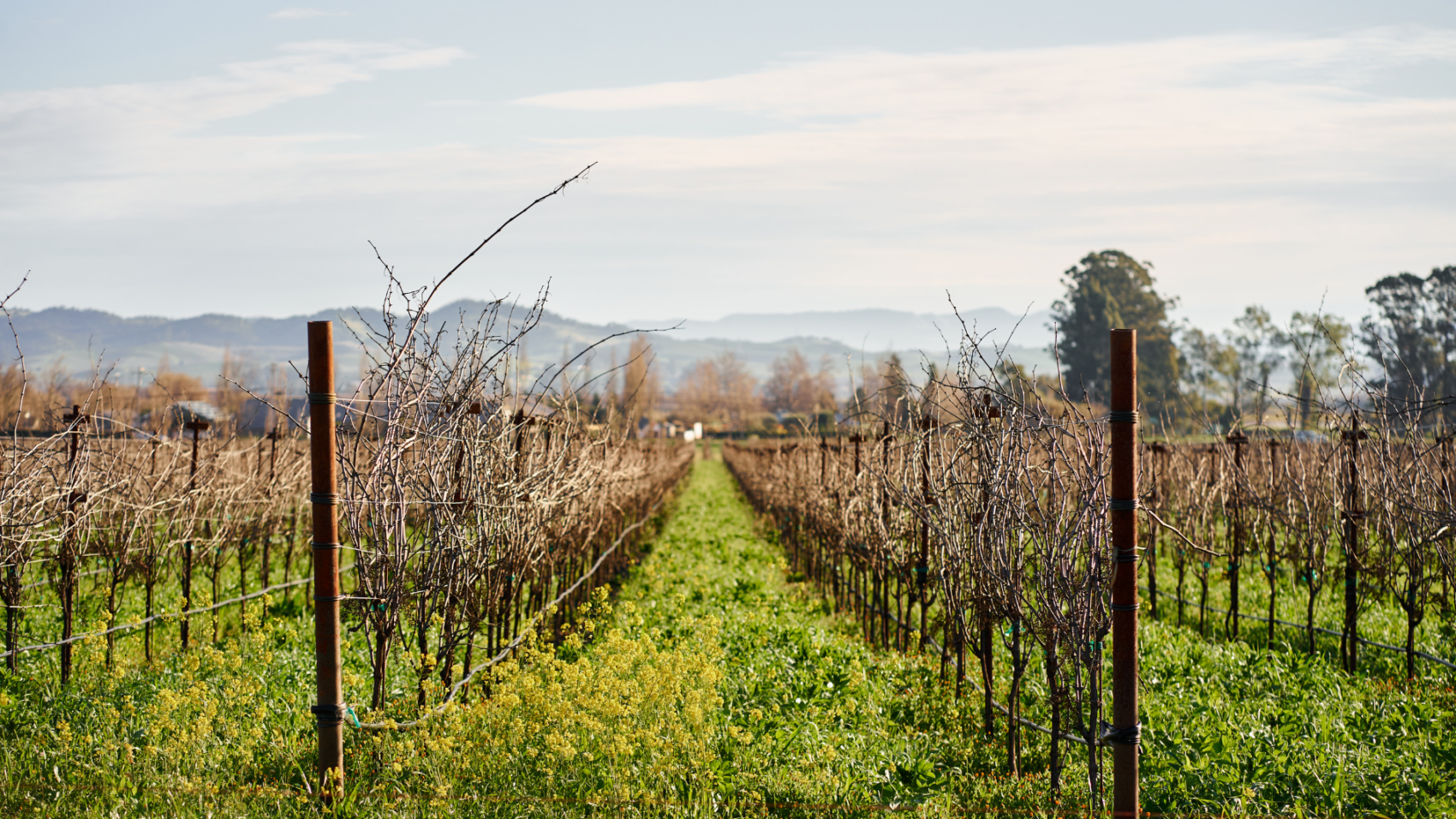 Untitled design (73)