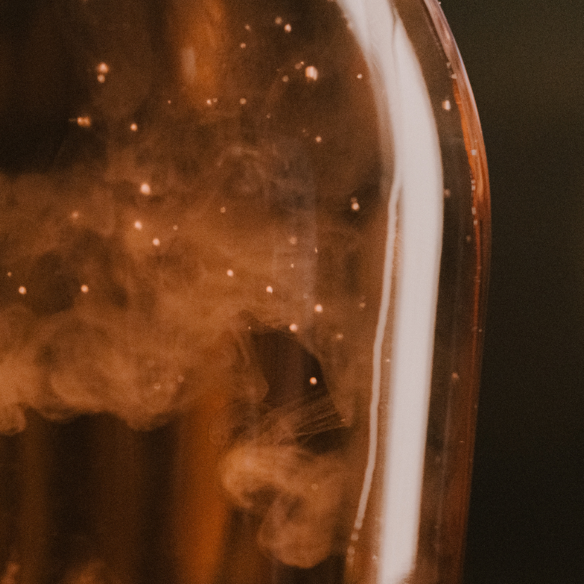 Inside the Bottle: Foundations of Sparkling