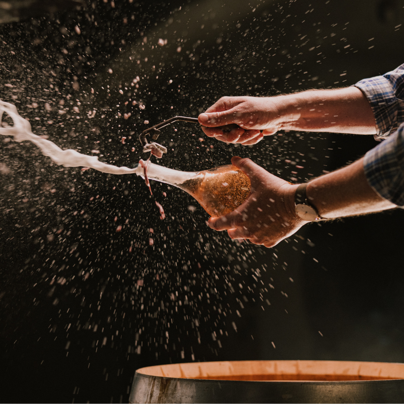Inside the Bottle: Winemaker's Collection