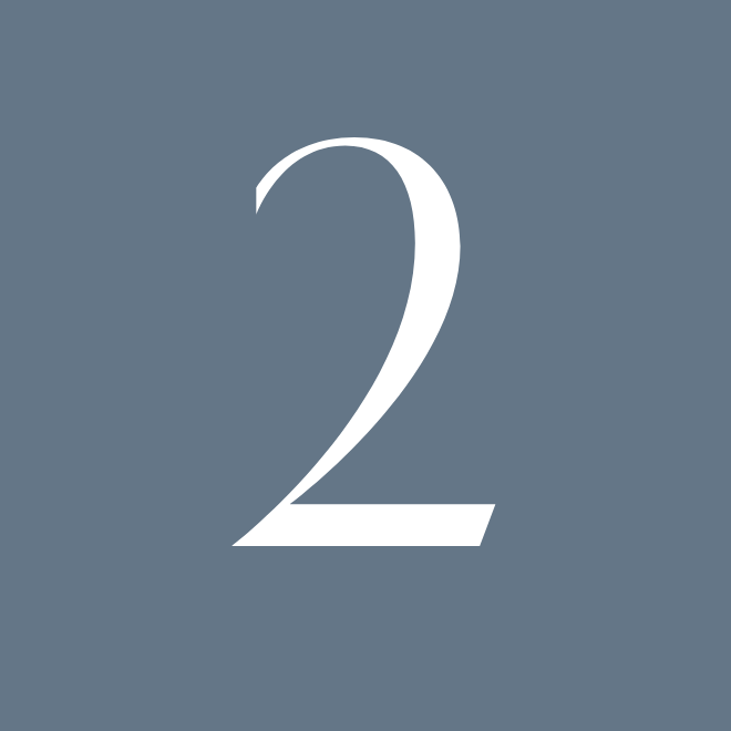2 (21)