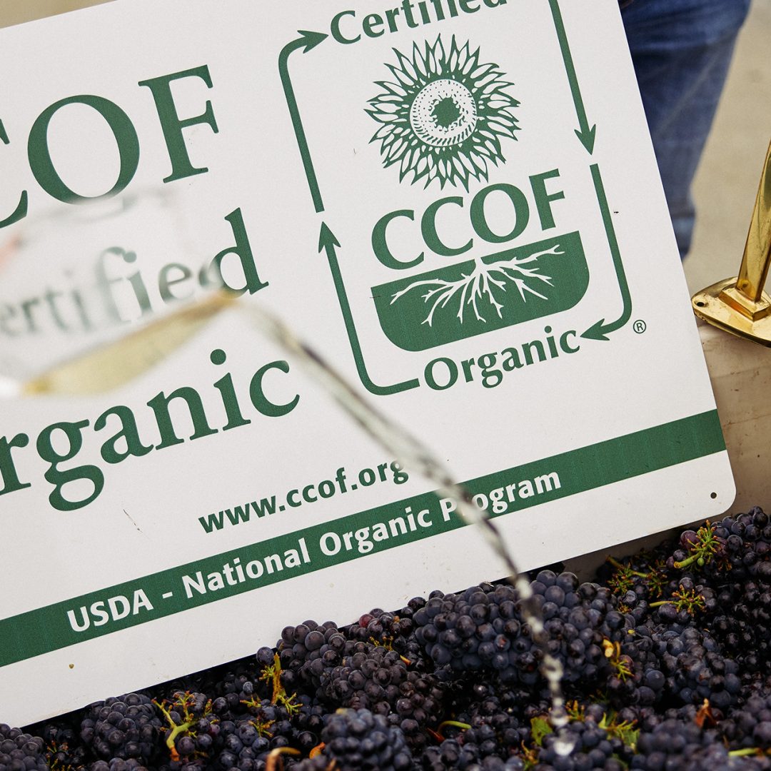 Harvest 2025: Closing The Chapter