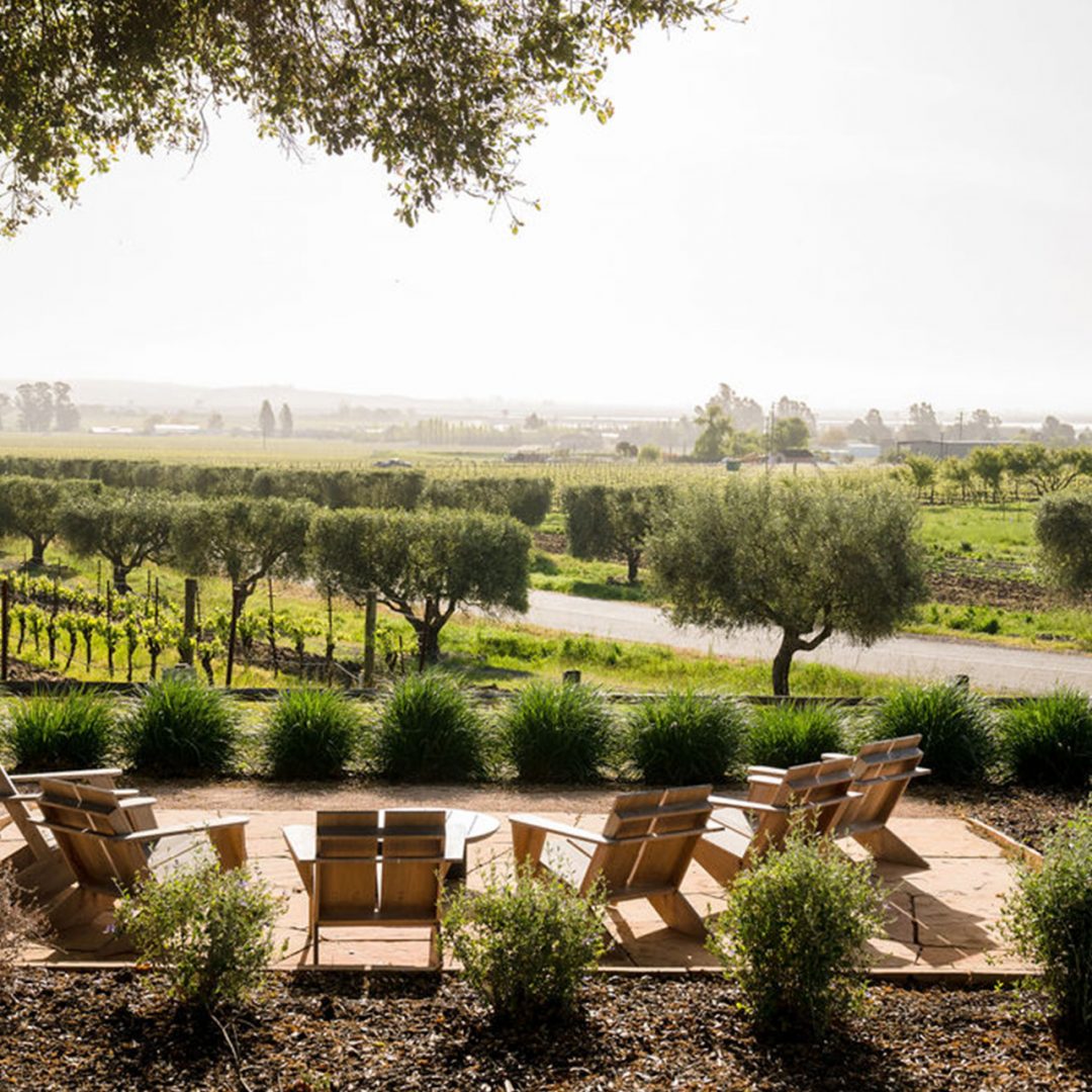 A Note of Gratitude from Our General Manager